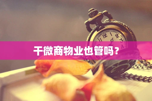 干微商物业也管吗？