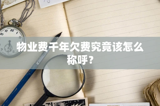 物业费千年欠费究竟该怎么称呼？