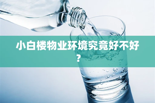 小白楼物业环境究竟好不好？