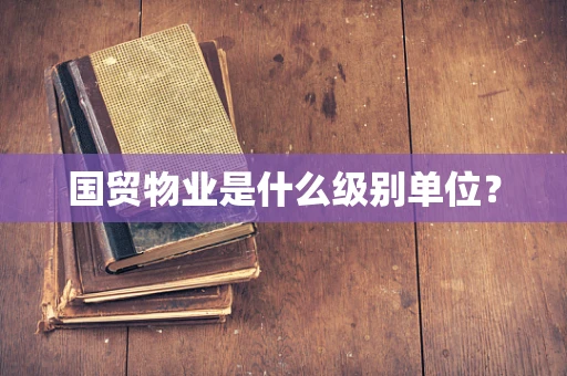 国贸物业是什么级别单位？