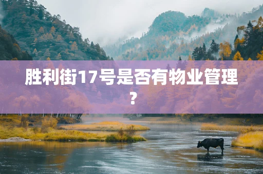 胜利街17号是否有物业管理？