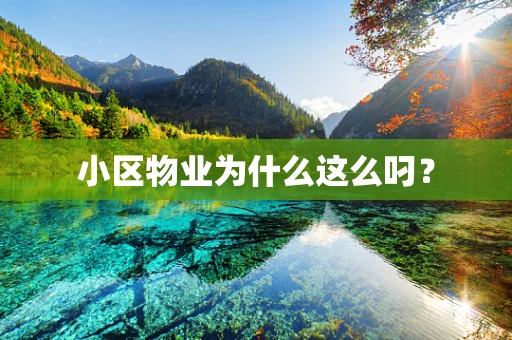 小区物业为什么这么叼？