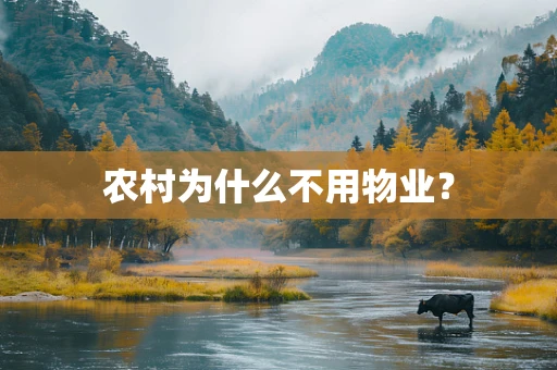 农村为什么不用物业？