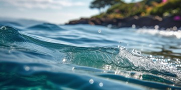 海纳物业有限公司究竟怎么样？