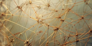 物业税究竟属于什么税目类别？