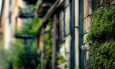租房需要找物业要电话吗？