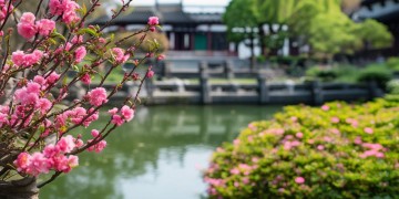 桃香苑物业真的可靠吗？