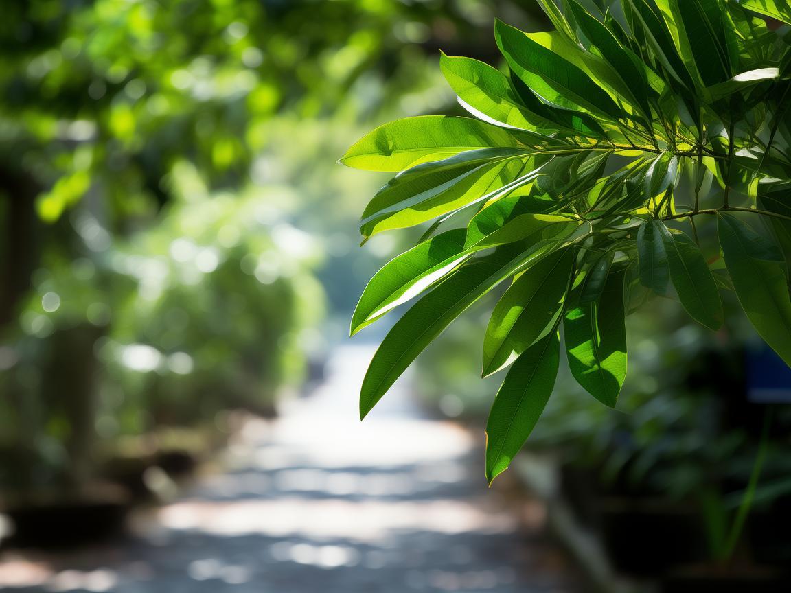 香樟路物业收费标准究竟如何? 香樟路物业收费标准究竟如何?